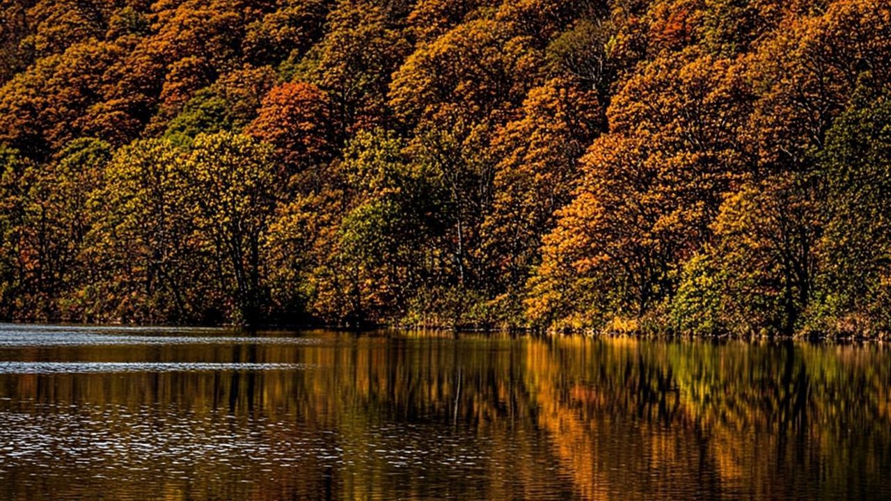 Autumn Reflections — Nature wallpaper, click to zoom
